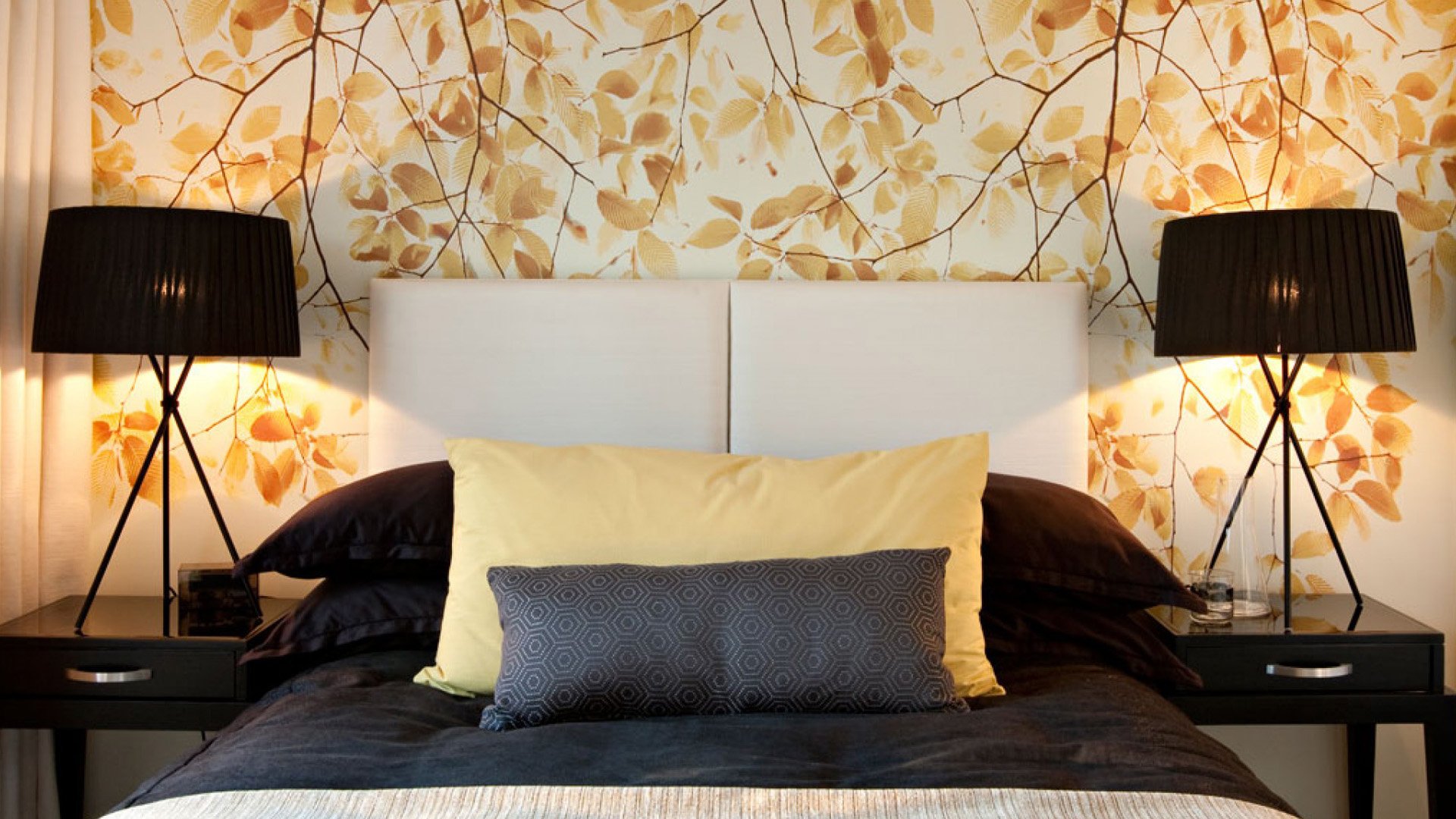 ��������� ���� ����2